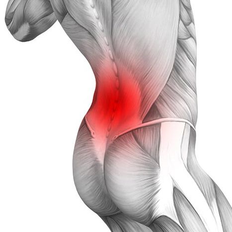 Healthy Low Back Pain