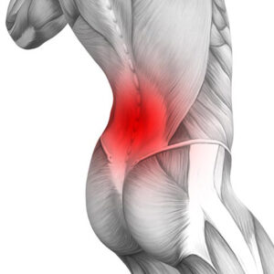 Healthy Low Back Pain